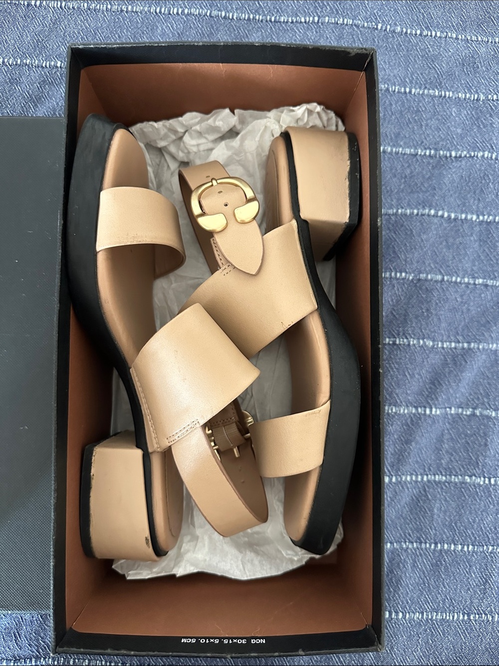 AEROSOLES Nude Leather Block Heel Sandals with Gold Buckle